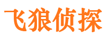 武陟市调查公司